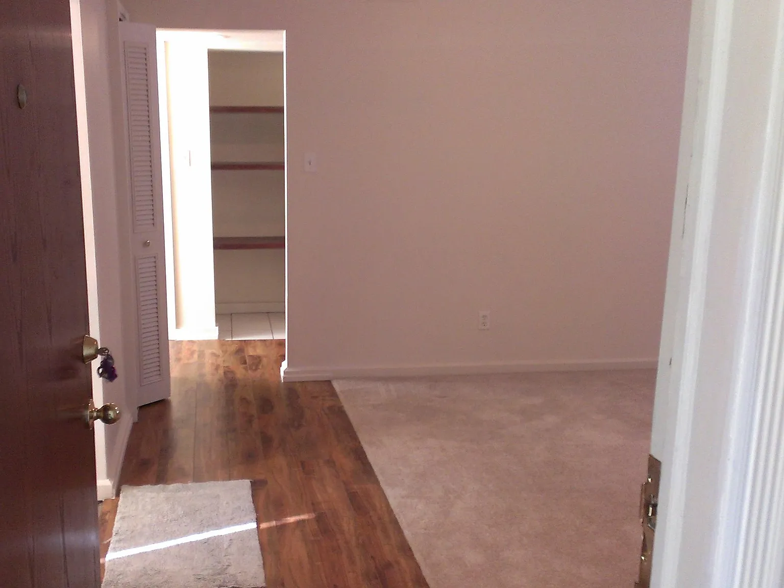 1 bed, 995 sqft, $1,150 — Photo 2