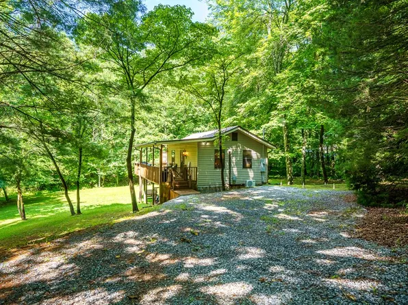 1643 Lucius Rd, Cherry Log, GA 30522