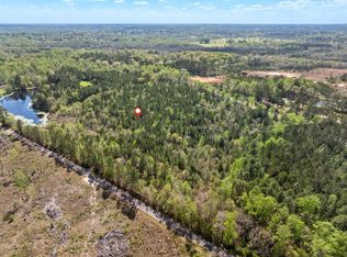 163 Piatonia Rd, Lumberton, MS 39455