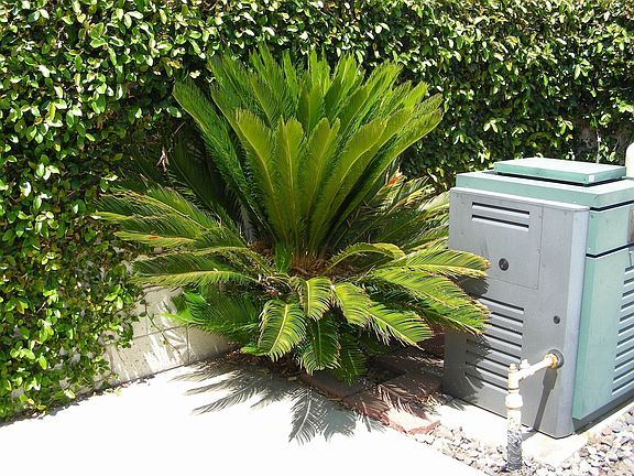 SAGO AND POOL HEATER