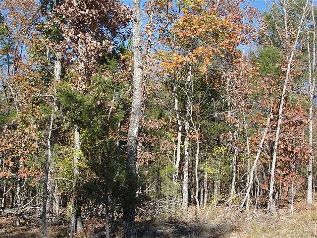 1st image of Shore Acres Dr Lot 1