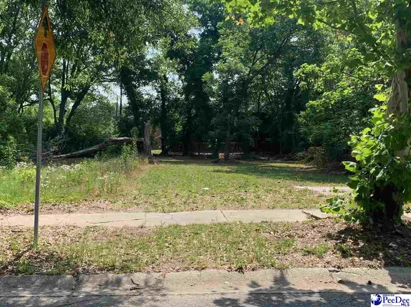 308 S Griffin St, Florence, SC 29506