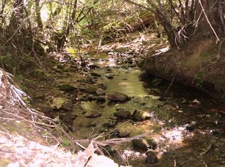 45 Ringtail Road, georgetown, CA 95634