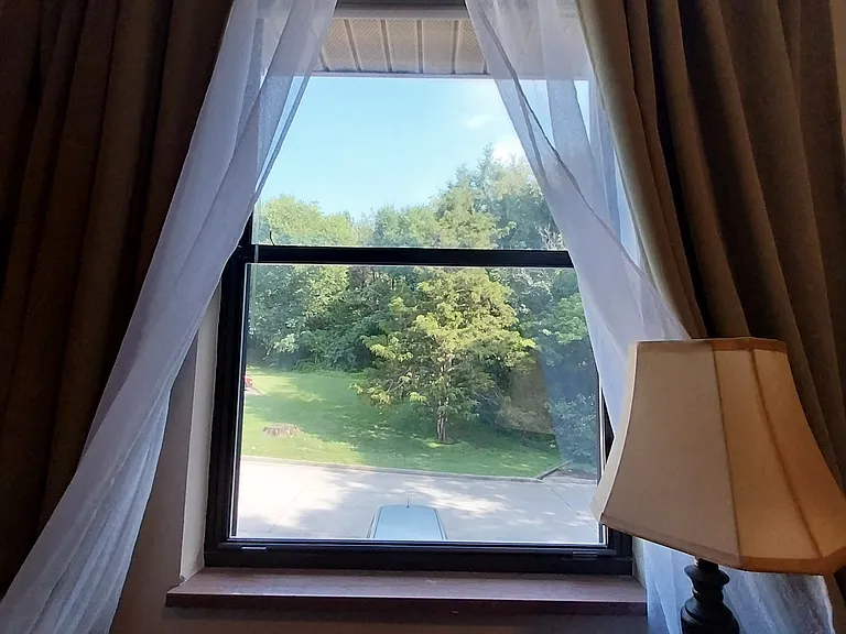 View from desk
