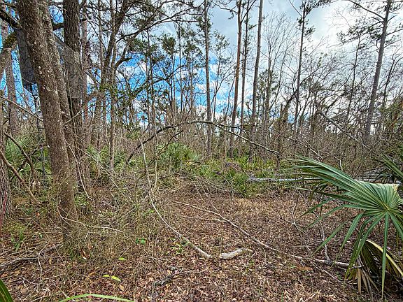 4th image of 0 NW Kings Rd