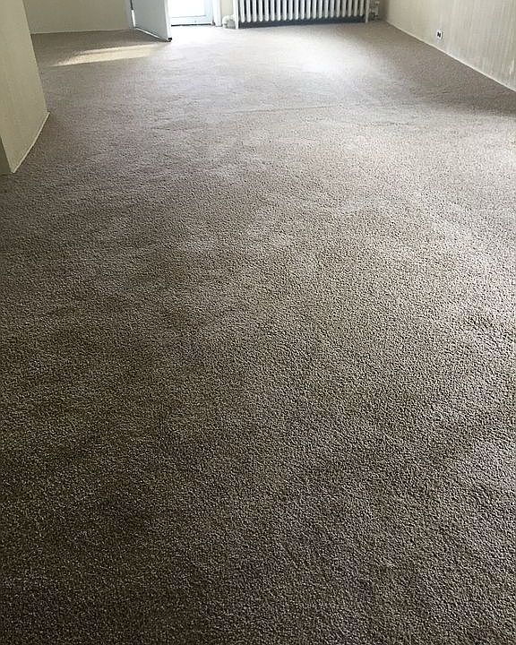 new carpets