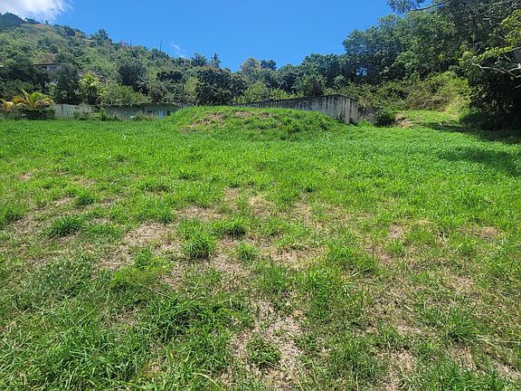 3rd image of 272 Hermon Hill Co