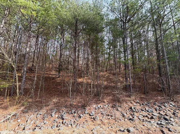 TRACT 1B Cleveland Hwy #1A, Cohutta, GA 30710