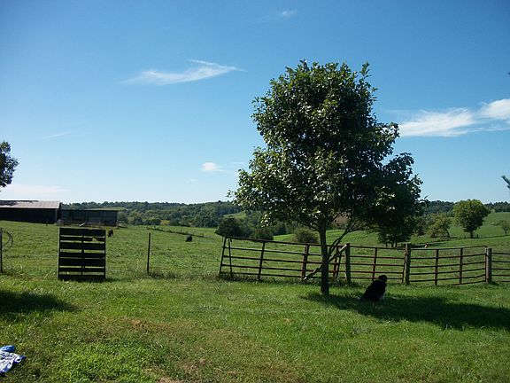 5th image of 0000 Hwy 590