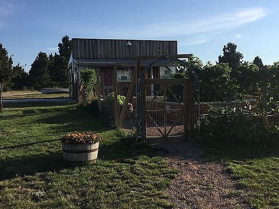 The Garden Shed
