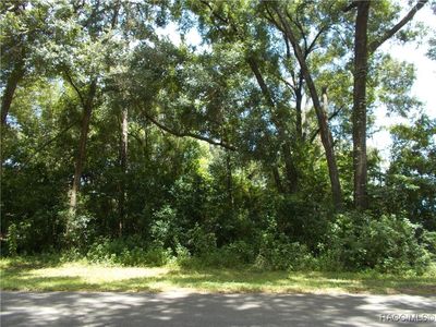 2449 W Fairway Loop, Citrus Springs, FL, 34434