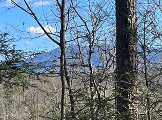 Shady Grove Ct, Sevierville, TN 37876