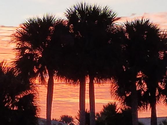 Sunrise from the kitchen