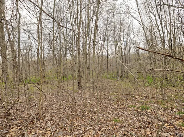 310 Dogwood Ln, Ortonville, MI 48462