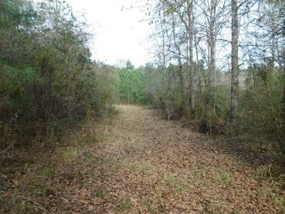 3711 Corman Oneil Rd, Gloster, MS, 39638