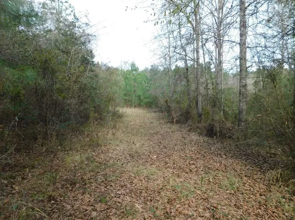 3711 Corman Oneil Rd, Gloster, MS 39638