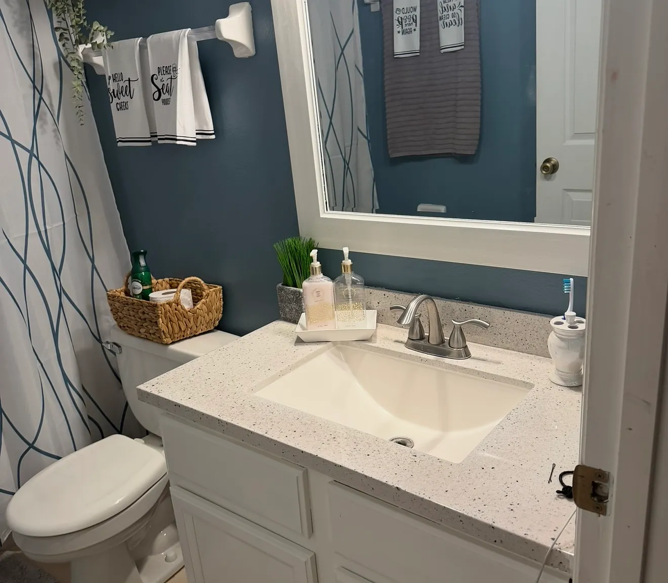 1 bed, $900 — Photo 3