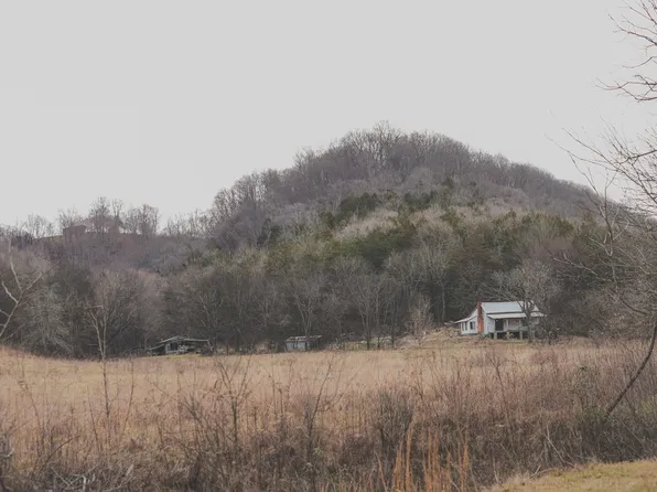 16431 Wallace Hollow Rd, Buffalo Valley, TN 38548