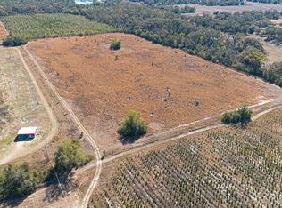 2 SE Walter Henderson Rd, Mayo, FL 32066