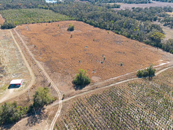 2 SE Walter Henderson Rd, Mayo, FL 32066