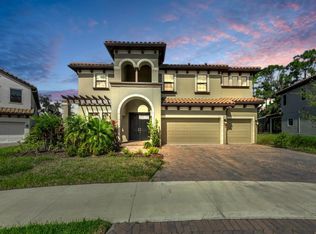 291 Mossy River Ct, Brandon, FL 33511