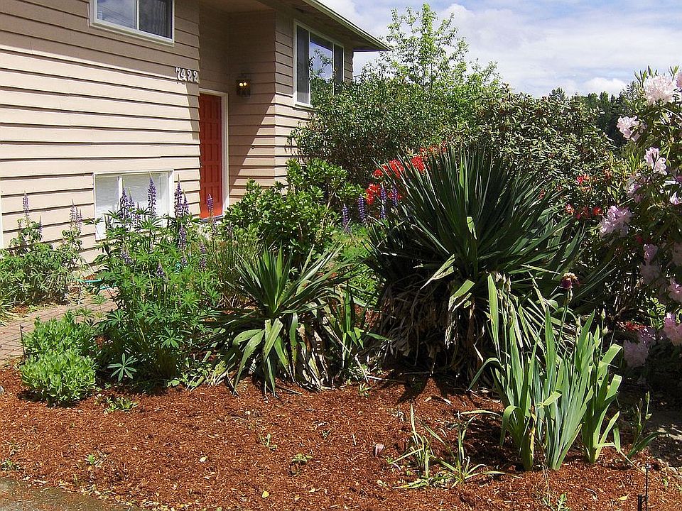 Front landscaping