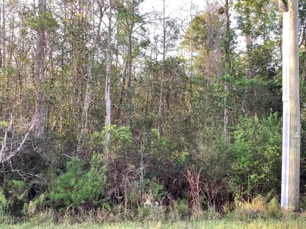 20828 Quinlan St Lot 42, Orlando, FL 32833