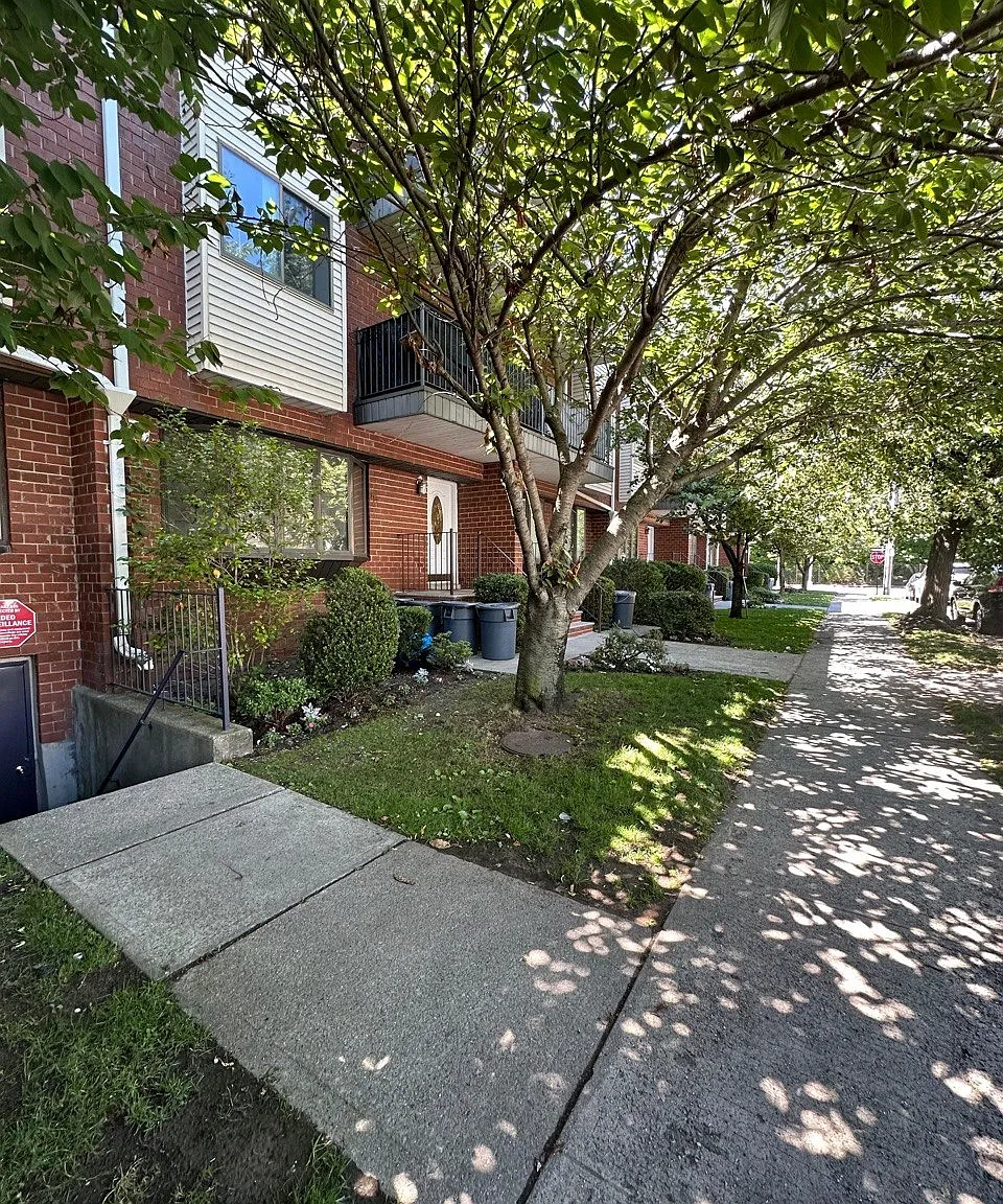 2 bed, $3,700 — Photo 2