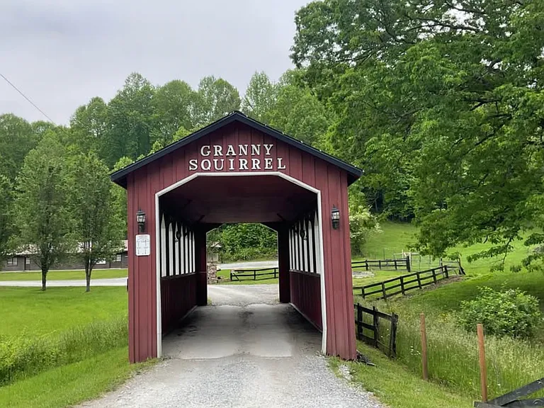 1136 Granny Squirrel Dr — Photo 16