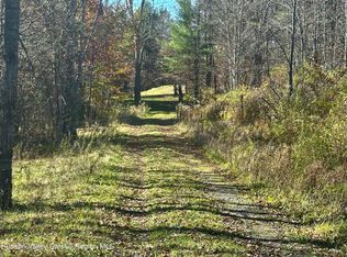 181 E Conesville Road, Gilboa, NY 12076