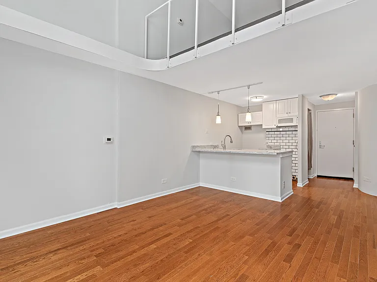 1221 N Dearborn Pkwy #806S — Photo 4
