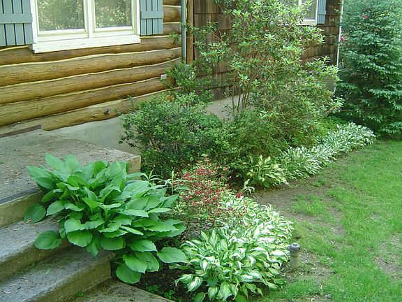 Front foliage