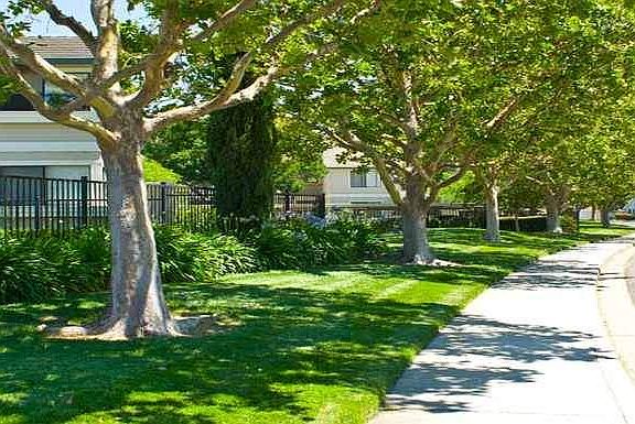 5th image of 300 Peppertree Way #274