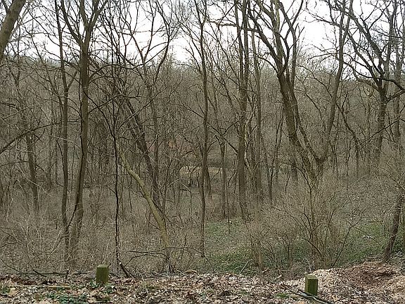 Property goes down to creek.