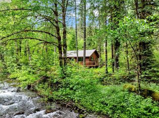 47 Govt Mineral Spgs, Carson, WA 98610