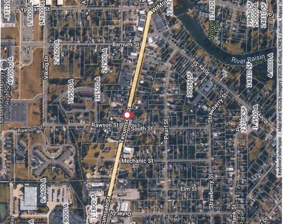 313 Tecumseh St, Dundee, MI 48131