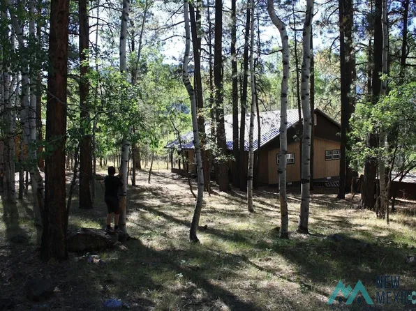 62 Lakeview Dr, Chama, NM 87520