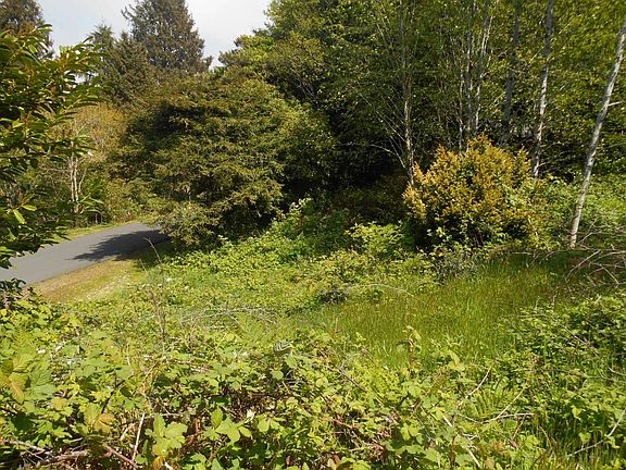 5th image of 910 S 2nd Ave