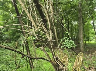 Long Hollow Rd, Masontown, WV 26542