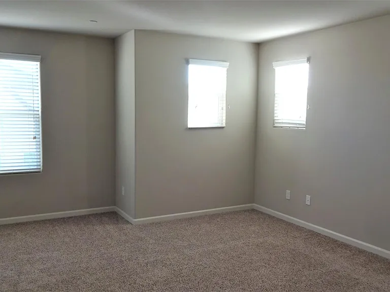 3517 Generosity Way — Photo 12