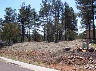 1291 E Lilly Ln, Show Low, AZ 85901