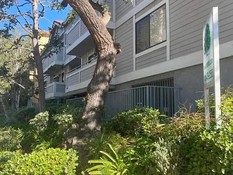 4608 Vista Del Monte Ave — Photo 1