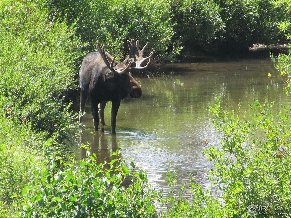 1st image of 90 County Road 21