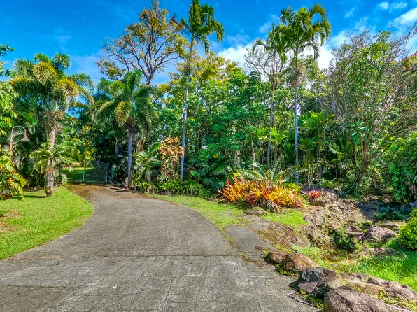 32-351 Kapena Rd Lot 1-E, Ninole, HI 96773