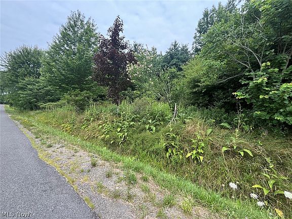 4th image of Buie Rd