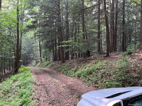 Hood Road, Roscoe, NY 12776