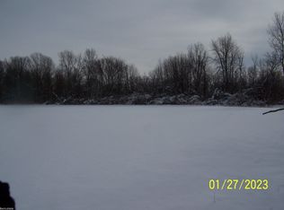 Cove Rd, Goodells, MI 48027