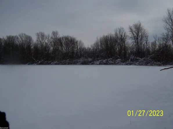 Cove Rd, Goodells, MI 48027