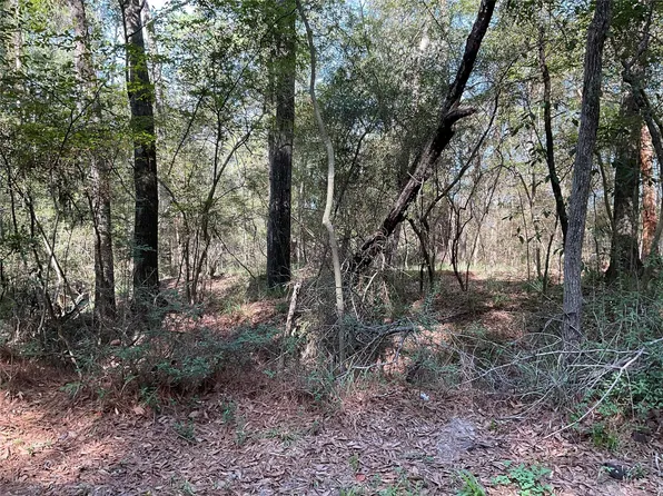 0 Mockingbird Ln, Trinity, TX 75862