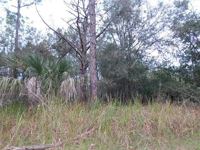 1st image of 4790 Poinciana Dr